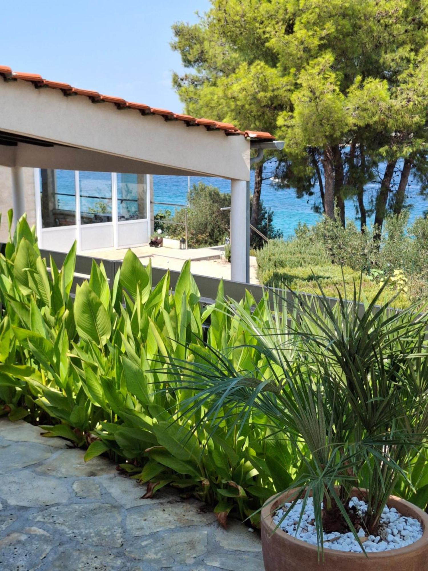 Villa Gjardini - Sparadici Grebaštica Eksteriør bilde